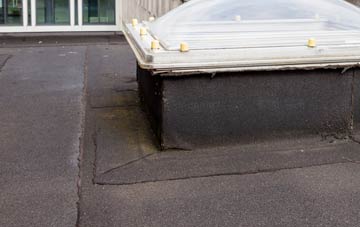 disadvantages of Douglas flat roofs